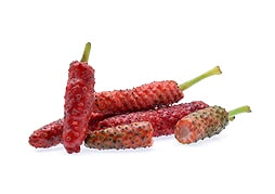 インドナガコショウ ( Long pepper )