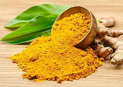 ウコン ( Turmeric )